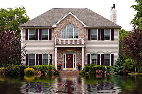 Homeowners Primary and Excess Flood