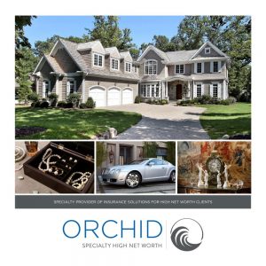 Orchid Insurance High Net Worth Brochure