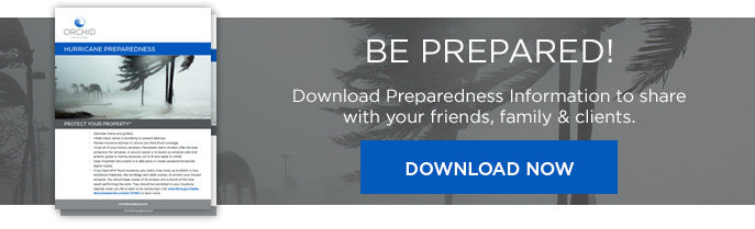 Hurricane Preparedness Document Download