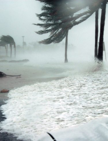 Prepare for a hurricane or windstorm