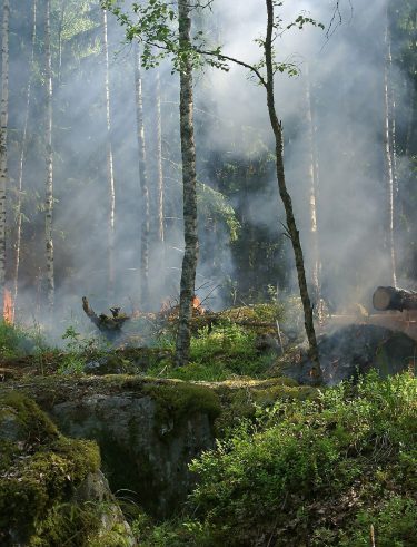 Wildfire Defense Tips